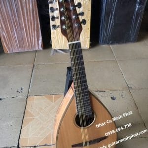 Bán đàn mandolin cao cấp gỗ điệp tại cửa hàng nhạc cụ minh phát quận bình tân tphcm - 0938 694 798
