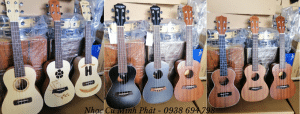 Mua đàn ukulele giá rẻ Quận 12, Hóc Môn, Củ Chi, Gò Vấp 1