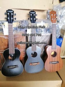 Mua đàn ukulele concert giá rẻ full gỗ mahogany tại cửa hàng nhạc cụ Minh Phát quận Bình Tân TPHCM